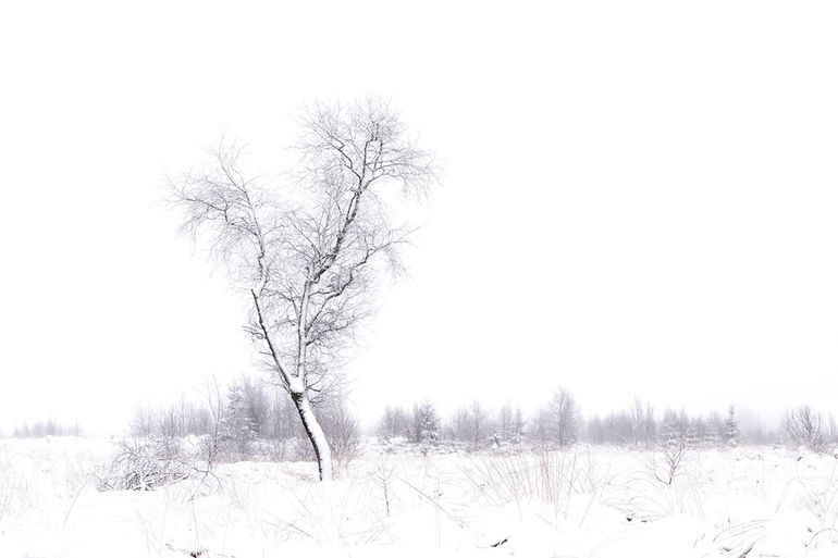 Herbôfaye _9621-Pano 203.jpg