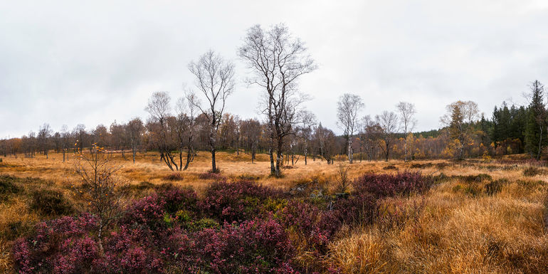 Grand Bongard_2180-Pano 06.jpg