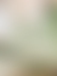 New Minty Teepee Theme