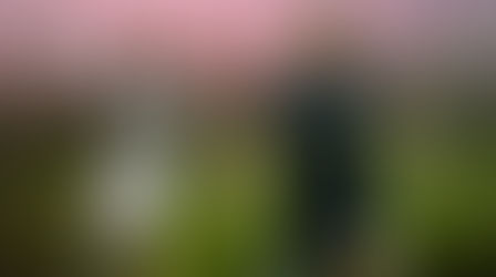 Manchester United büyük oynuyor!
Kötü bir sezonu geride bırakan Manchester United, transferde büyük