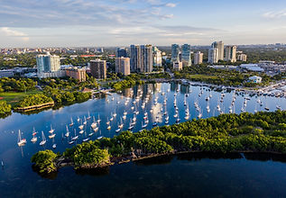 coconut grove landscape design.jpg