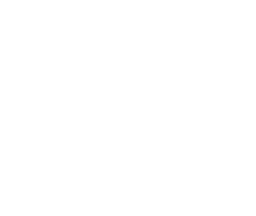 Veritize White Logo