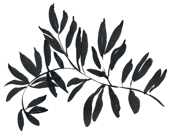 6.png