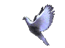 Peace be uopn Earth