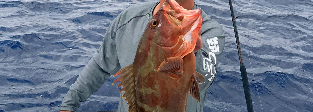 Inshore Fishing Providenciales