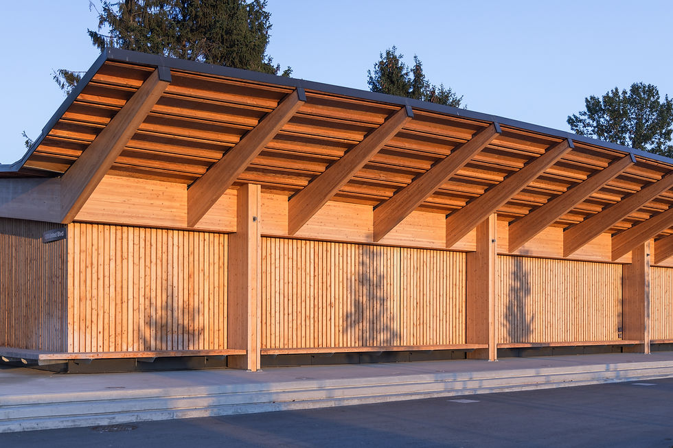 Wooden building with a slanted roof, bathed in warm sunlight. Trees in the background, with shadows cast on the structure. Calm ambiance.