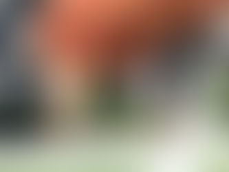 DOAÇÃO DE IMÓVEL PARA FILHOS: QUAIS CUIDADOS VOCÊ PRECISA TER