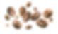 coffee-beans-levitate-white-background.jpg