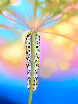 "I see you", olieverf op doek, 60 x 80 cm, © 2026 Ilse Scholten