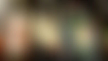 Viskinin Mirası: İrlanda Viski Tarihinin Bilinmeyen 5 Hikayesi