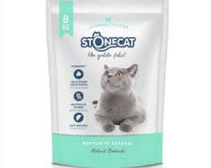 stonecat.jpg