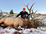 Wyoming guided elk hunts with O'Brien Creek Outfitters