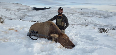 Wyoming guided elk hunts with O'Brien Creek Outfitters