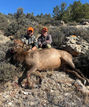 Wyoming elk outfitter, Wyoming guided elk hunt, elk hunting in Wyoming, Wyoming trophy elk outfitters
