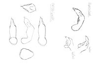 boxcutter sketch.jpg