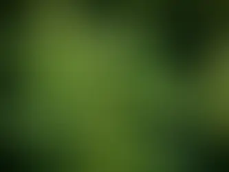 Why THCA Strains Are Gaining Popularity in Ohio's CBD Market