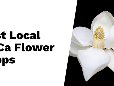Exploring the World of THCa Flower in 2025