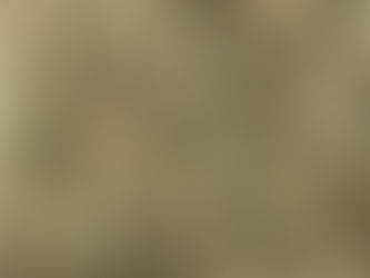 Discover CBD Hemp Flower with No THC: Pure Bliss!