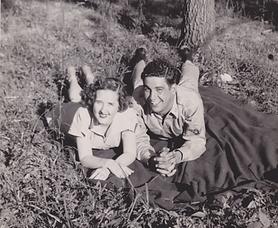 Scanned Image 1_edited.jpeg