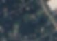 TNAC Google Map 5-14-24.jpg