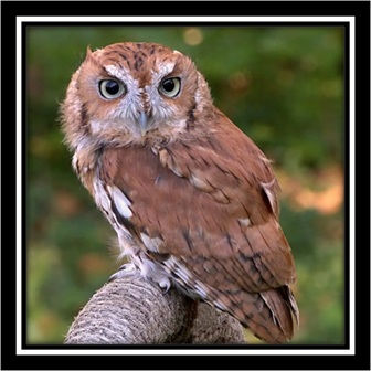 Magnetic All-n-One Message Center Calendar