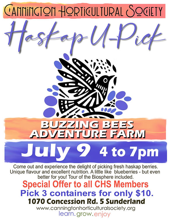 Haskap U-Pick Poster JulyA.JPG