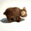 Thumbnail: Little Bear - Mini Needle Felted Brown Bear Workshop