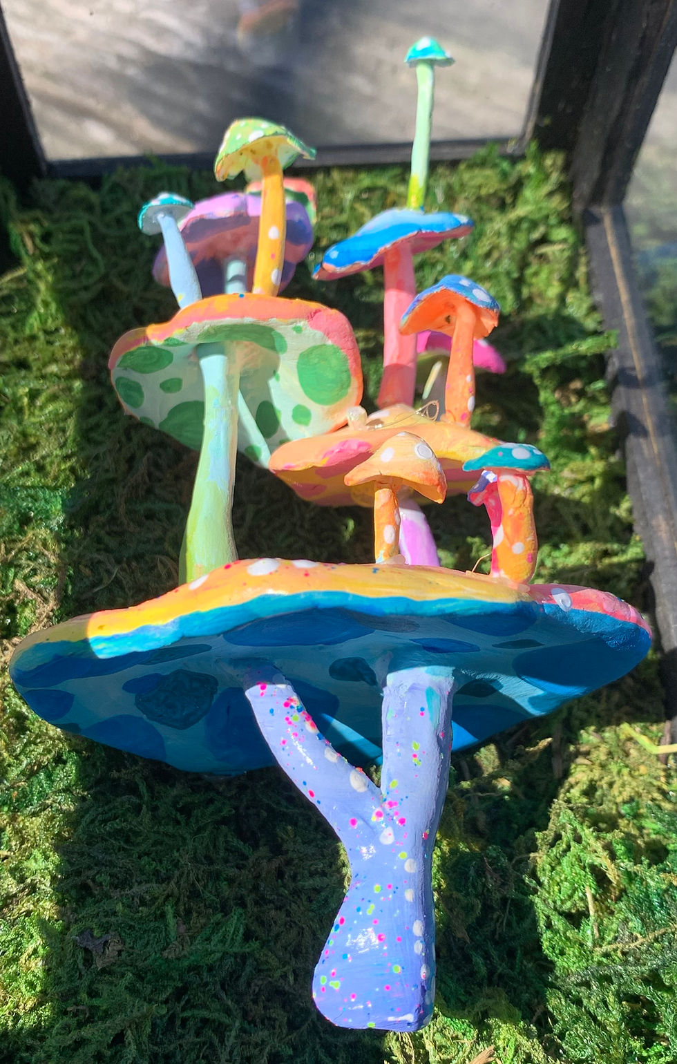 Thumbnail: The Cutest Poisonous Mushroom In the World