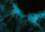 Banner Kopie.jpg
