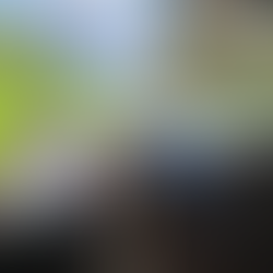 IntoSpeed April Update