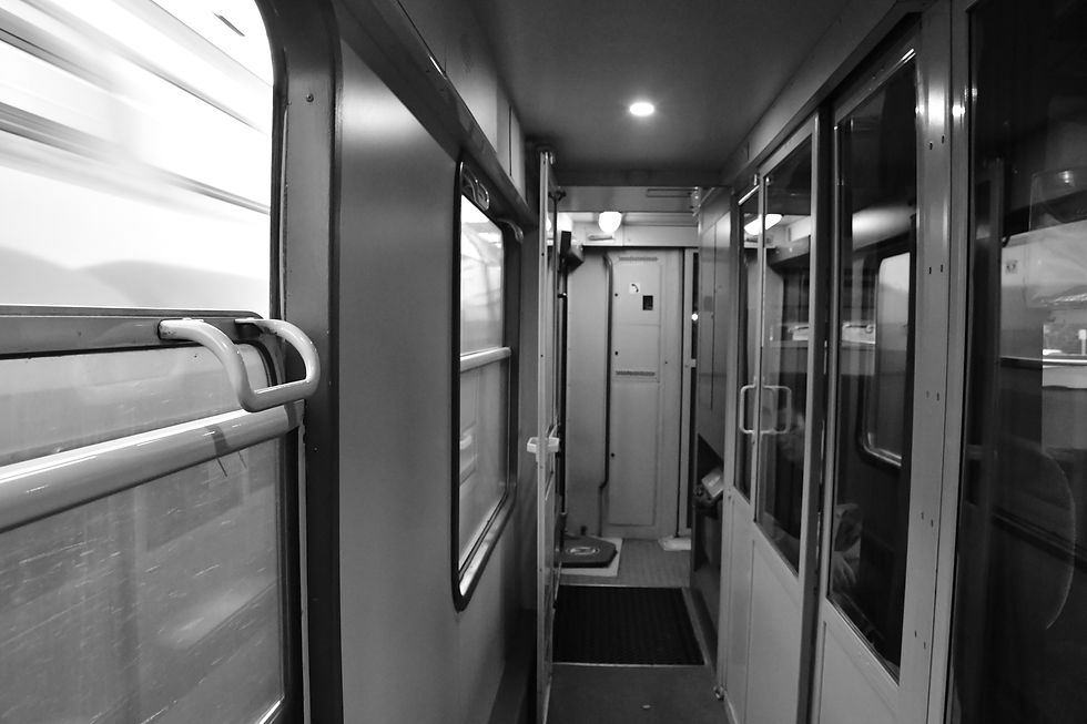 The train