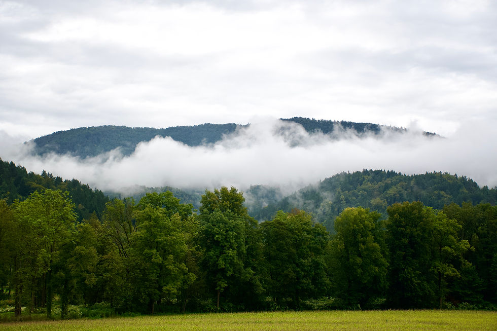 Scenery in Slovenia
