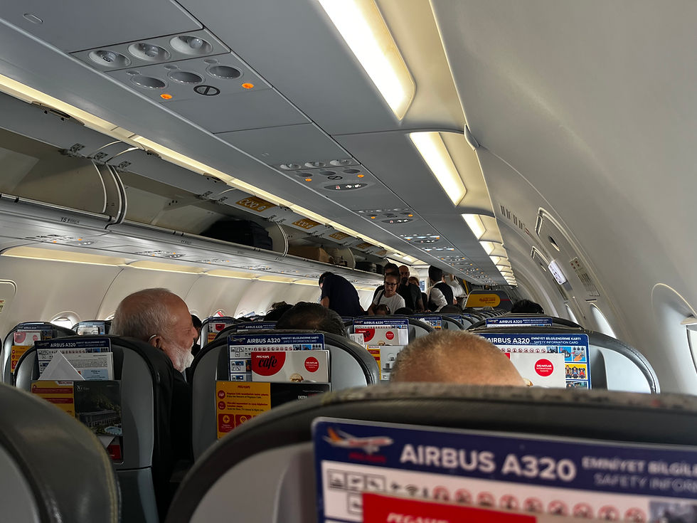 The plane