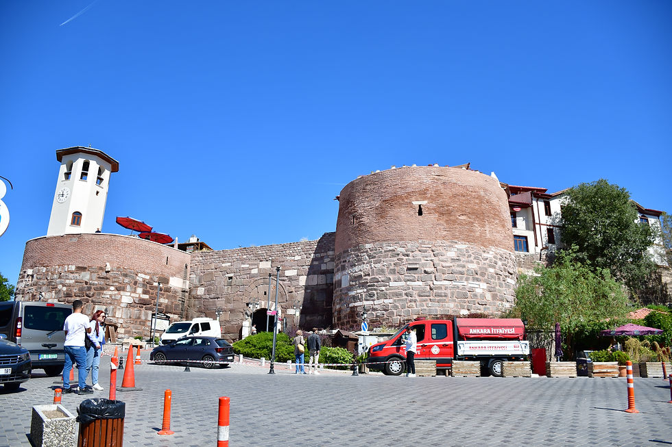 The castle 