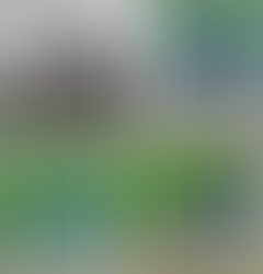 Premier Highland dancer sports injuries