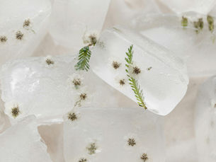 Gut Health and Acne
