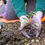 Thumbnail: Earth - Grounded and Warm