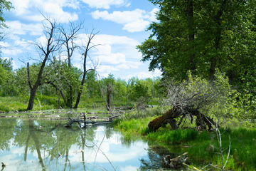 Lafarage Meadows