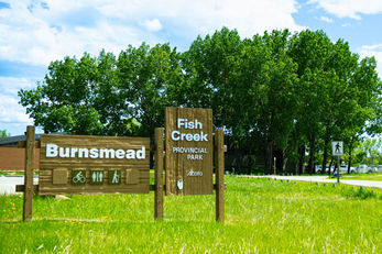 Burnsmead