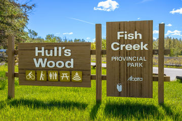 1. Hull's Wood