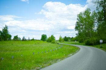Glennfield