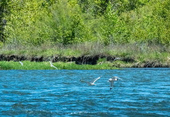 Rotary Nature Park