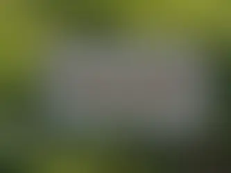 How Poor Leadership Shapes Organizational Culture and Performance: Unveiling the Unseen Impact