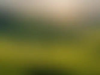 Exploring the Power of Resilience in the Workplace: Overcoming Challenges and Thriving