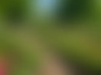 Unleashing the Power of Community: Breaking Through Your Personal Barriers with Confidence