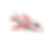 Safe To Land.png