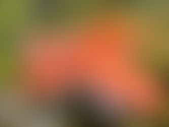 Aller simple vers la guérison ❤️🩹