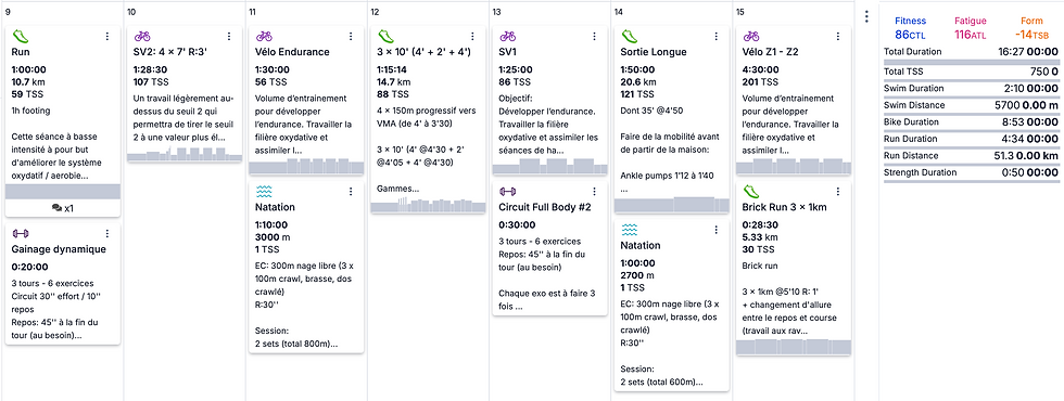 Plan d'entraînement Ironman sur TrainingPeaks coaching Maxime Sauvet