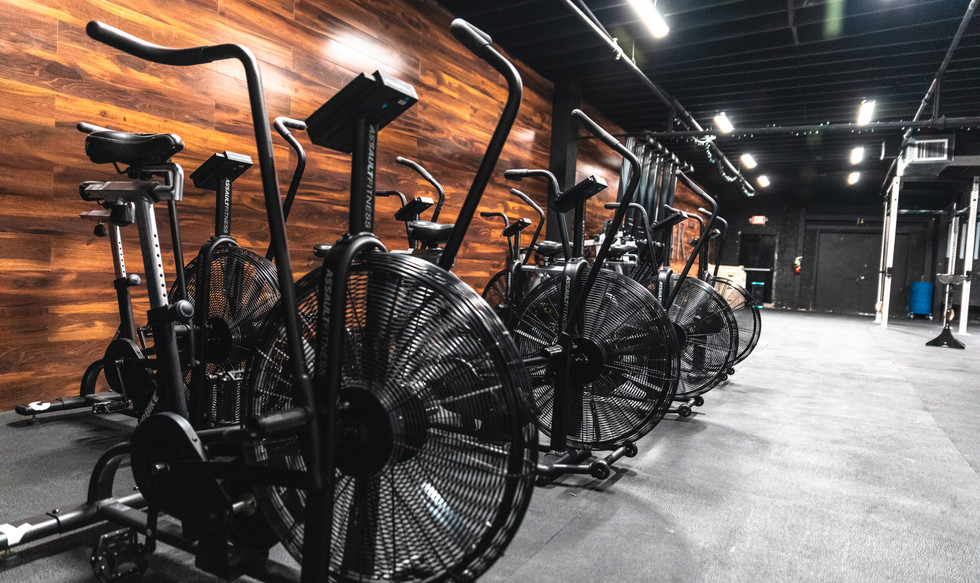 american cycle and fitness royal oak