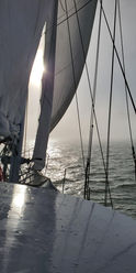 Photo from a sailboat with the sun peeking between the sails on a foggy day.